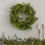Thumbnail: Cedar Pine Foliage Christmas Wreath with Lights