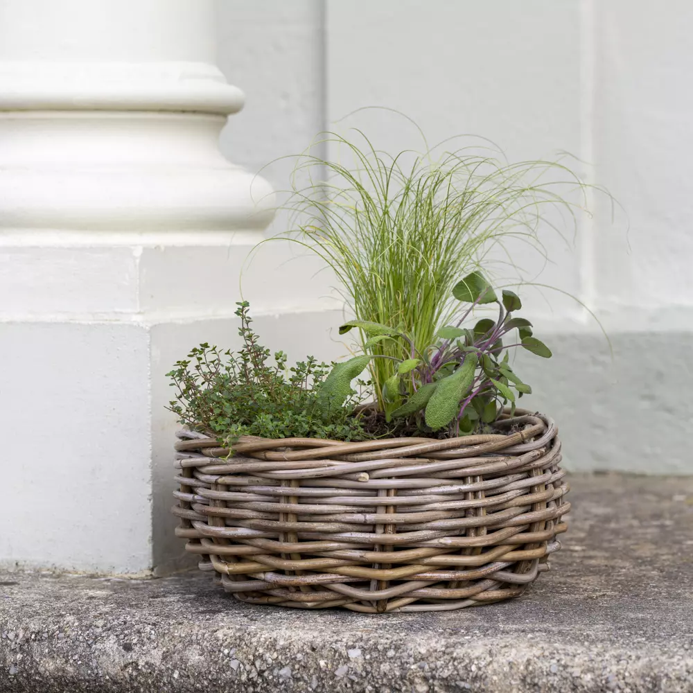 Kubu Basket Planter The Wisteria Tree
