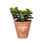 Thumbnail: Terracotta Vase with Heart Detail - 2 Sizes