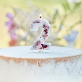 Thumbnail: Pressed Petal Numbers Birthday Cake Candle