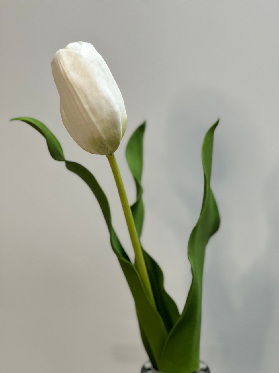 Thumbnail: artificial white open tulip stem