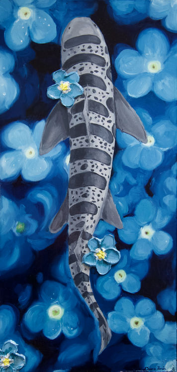 Leopard Shark 3