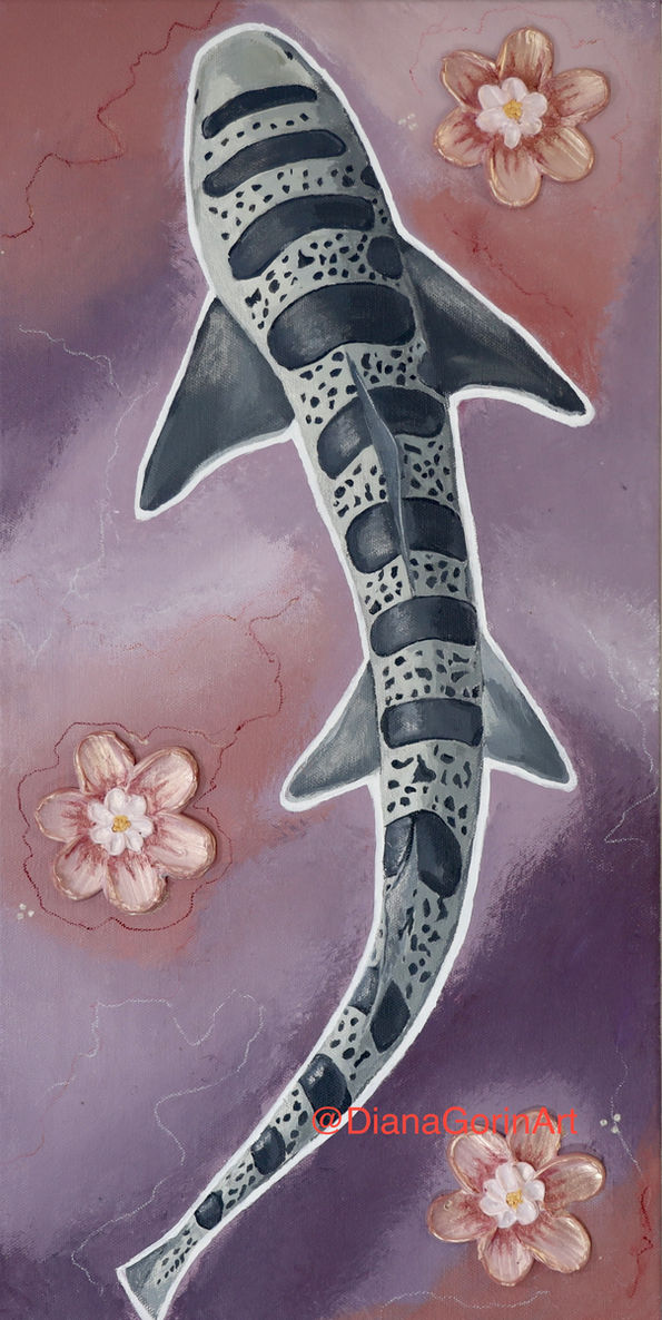 Leopard Shark 2