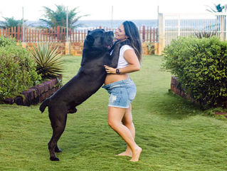 Convivência com os pets na gravidez e com o recém-nascido