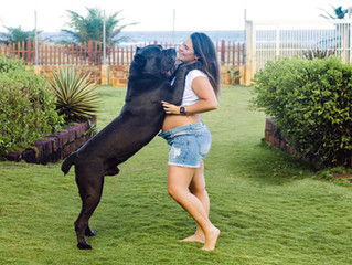 Convivência com os pets na gravidez e com o recém-nascido