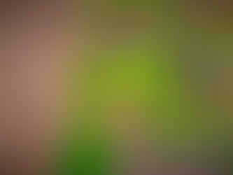 TREES HATE YOU - Download Game