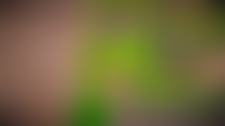 TREES HATE YOU - Download Game
