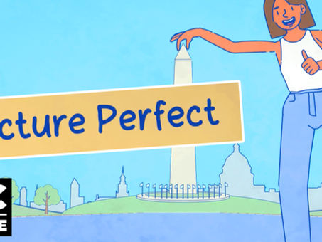 PICTURE PERFECT - Download Game