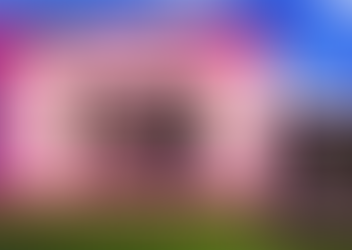 LACEY'S FLASH GAMES - Download Game