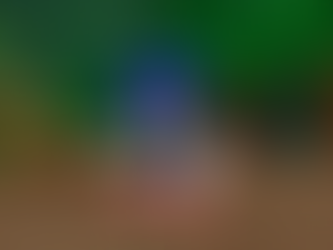 SONIC RUSH 3D - Download Game