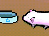 FEED THE PIG - Download Game