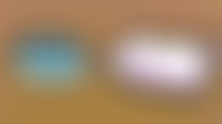 FEED THE PIG - Download Game