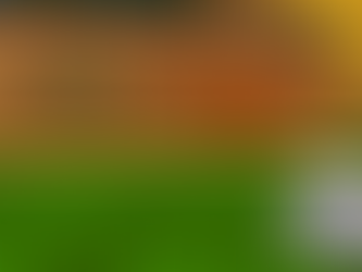 DOG HOUSE 2: build your pet's house before... it's just a dog, isn't it?