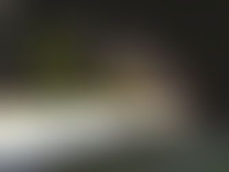 ASHIMEYAMA: Walk through strange twisted streets in this walking simulator.