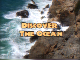 DISCOVER THE OCEAN: A world of mystery and secrets. But what lies beneath the surface?