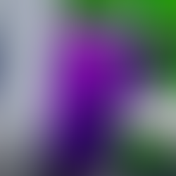 PEPPER THE GIANT PURPLE DOG - Download Game