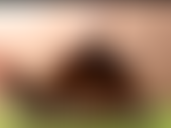 INITIATION MAN: a deadly game where you need to guess words to join a strange cult.