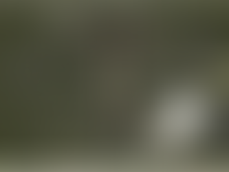 TREE - Download Game