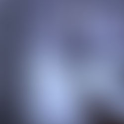 THE NOT-DEER STEW - Download Game