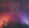 FESTIVALS2.jpg