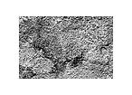OLD WALL copy 3.jpg