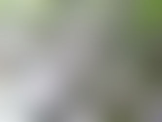 זיכרון טראומטי