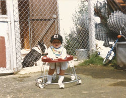Bullyview Pics 23