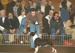 Bullyview Pics 17