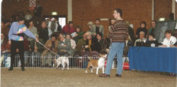 Bullyview Pics 21