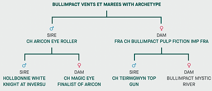 Screenshot 2026-01-06 at 19.46.21.png