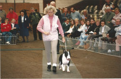 Bullyview Pics 18