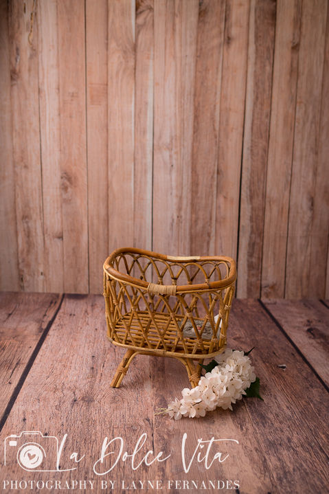 newborn photography prop