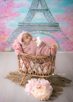 Newborn Photography