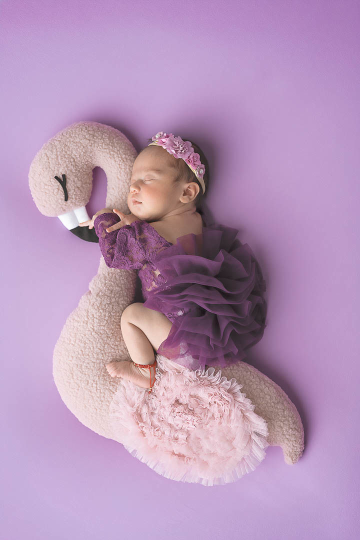 Blog and Images are copyright protected by La Dolce Vita Photography by Layne Fernandes.