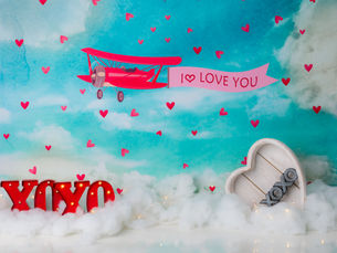 Valentine's Day Pictures - Denver Photographer