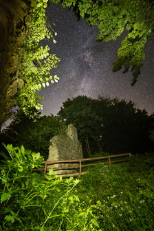 nikon12-Edit.jpg