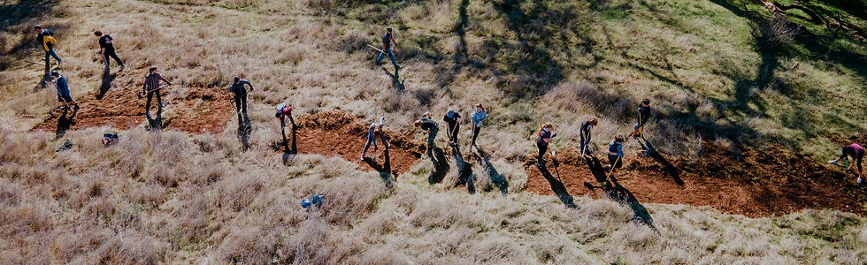 Trail Work Day