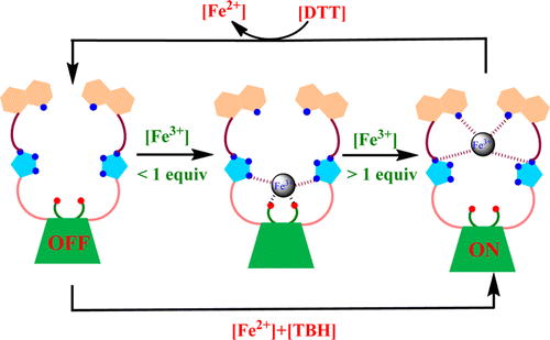 Anal-Chem-2013-Fe-sensor.gif