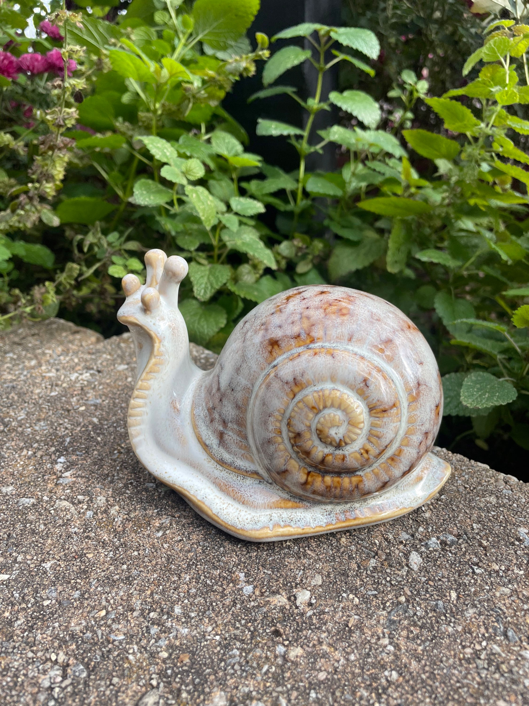 Snail decor