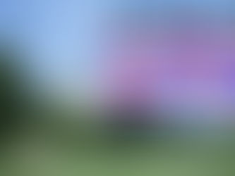 Campidoglio degli Stati Uniti con grafica America250, simbolo delle celebrazioni previste per il 2026 negli USA