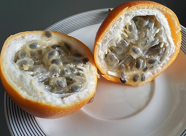 What to eat on Madeira - Orange passion fruit