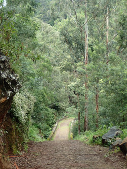 The start of the road at Monte