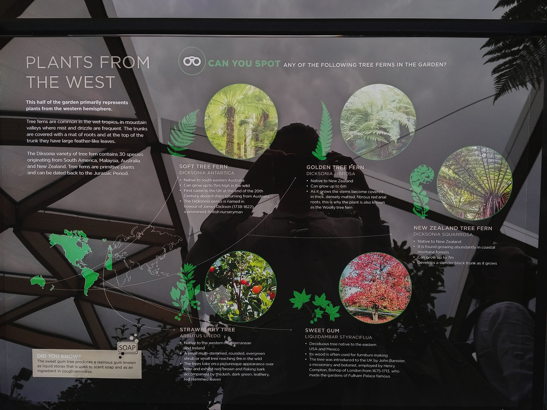 Crossrail Place Roof Garden London