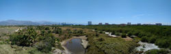 Estero el Salado, Puerto Vallarta