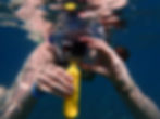 Best GoPro for travel: Snorkelling Ilheu de Vila Franca Azores with a GoPro Hero4 Silver