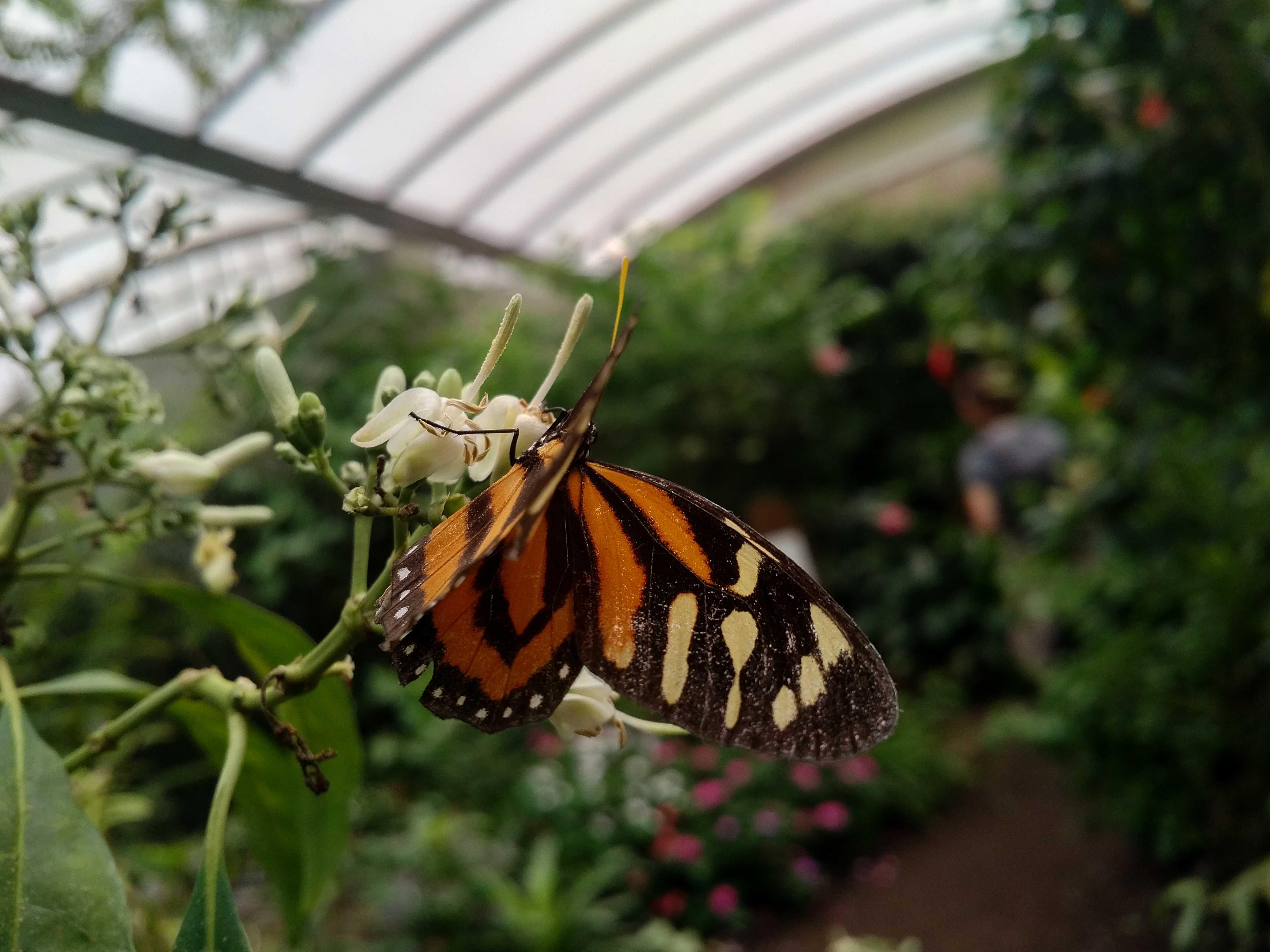 What to See in Normandy Flight to Somewhere