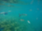 Best GoPro for travel: Ilheu de Vila Franco with GoPro Hero4 Silver