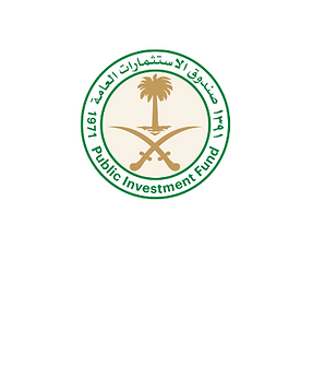 Public Investment Fund Logo