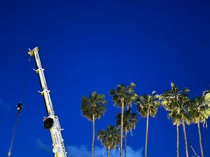 MIPTV 2024: Navigating the Shifting Sands of Television