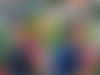 THE €40M BET ON ESTRELA DA AMADORA